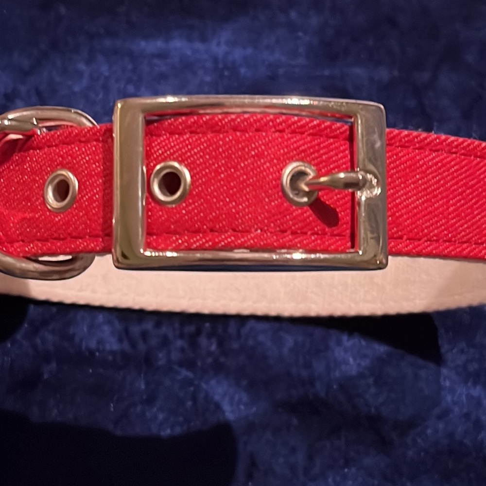 NWT too! Fashionable Red & White 22 Inch Dog Canine Neck Collar Studded - Picture 2 of 6